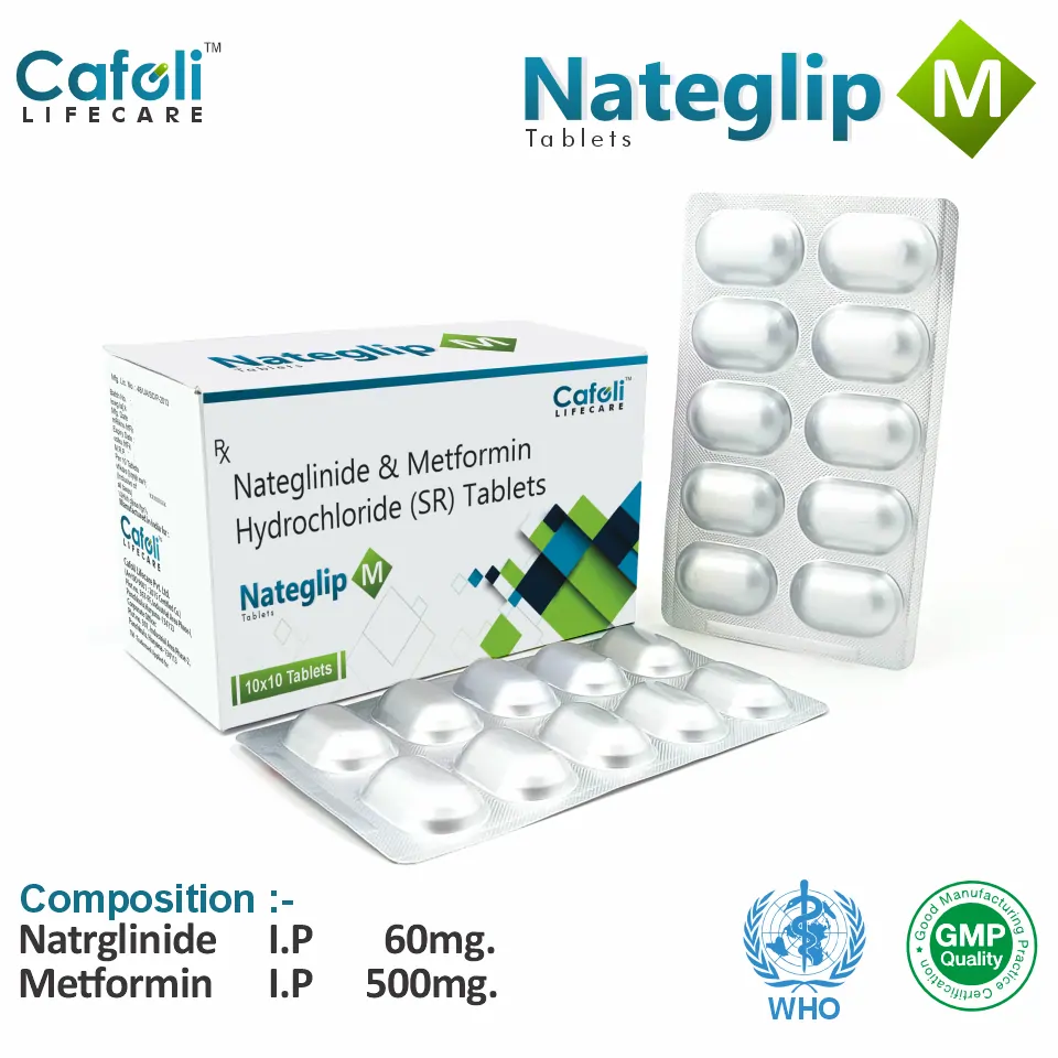 Mycophenolate Sodium 1000 mg Tablet PCD Pharma Franchise